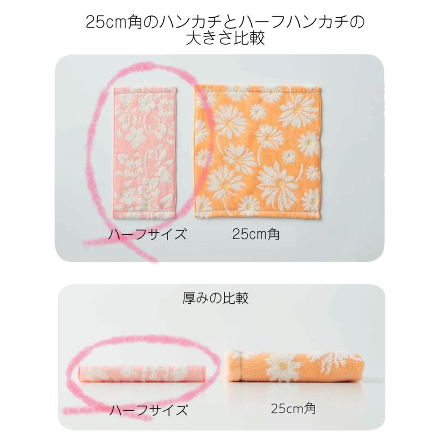 今治タオル（imabari towel） ハーフサイズ レディース タオルハンカチ