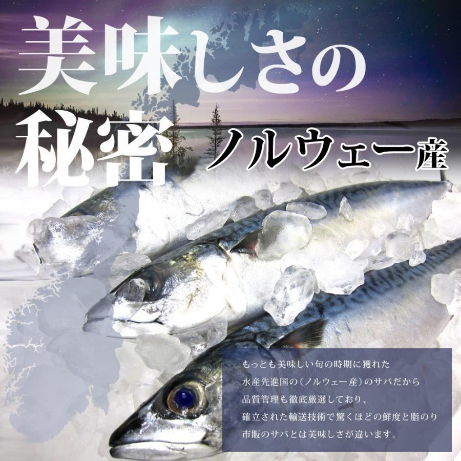 とろさば 干物 4枚 干物セット お取り寄せ サバ 鯖 ひもの 沼津 ギフト お試し セット Jya 1番ec ヤフー店 通販 Yahoo ショッピング