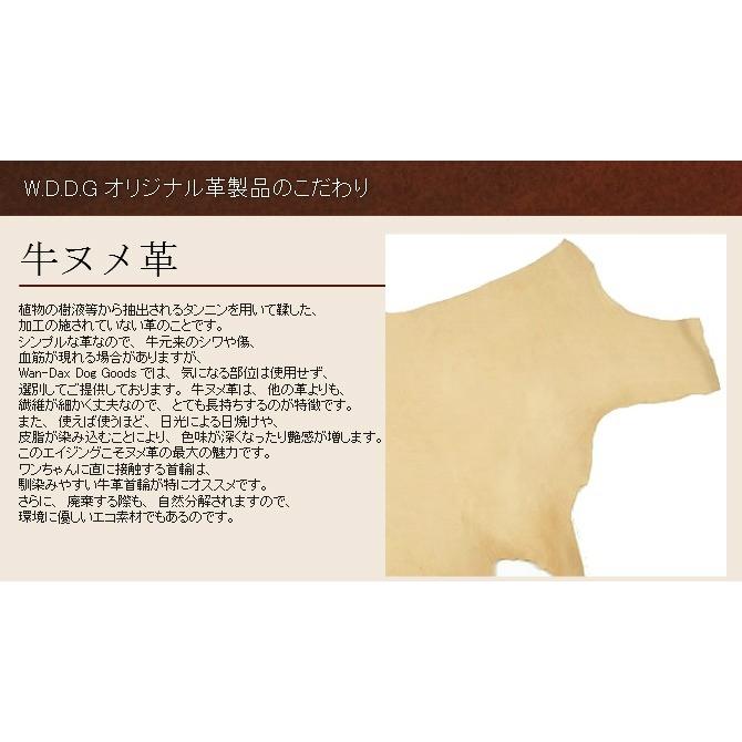 犬 革 首輪 リードセット 名前入り 牛本革ウエスタンCOW-COW-SKHTM