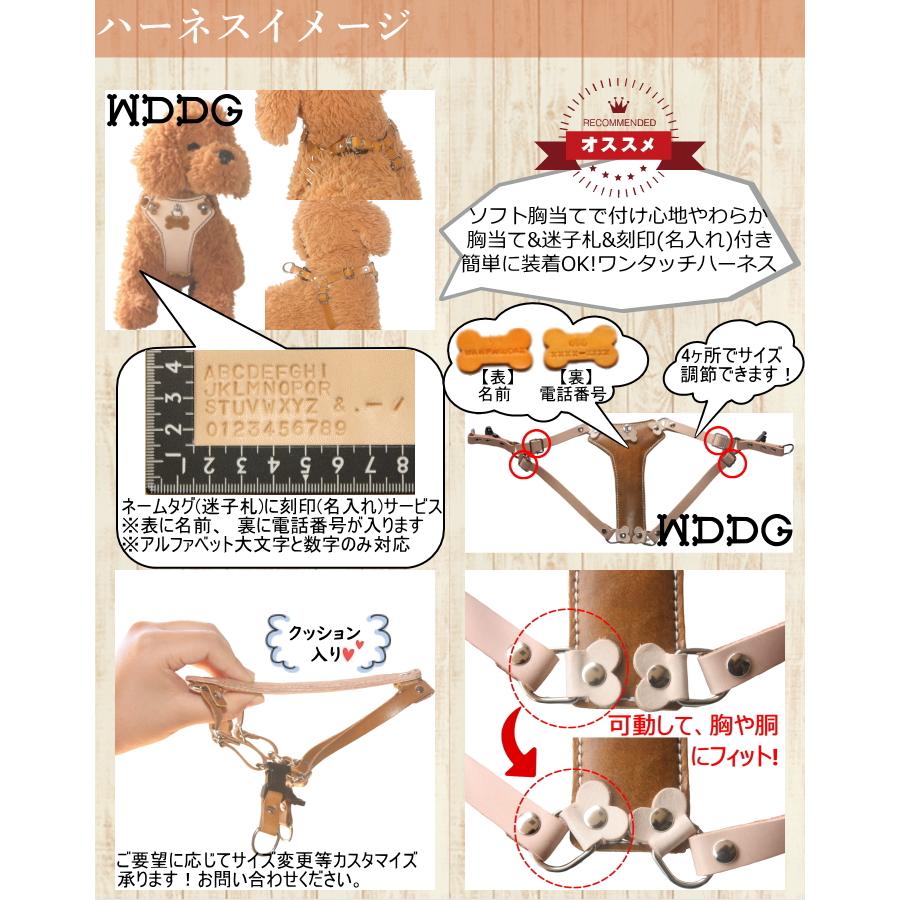 犬 革 ハーネス 胴輪 リードセット 名前入り 本革 胸当て \u0026 迷子札 付き ワンタッチ ハーネス・リードセット 小型犬 中型犬 革幅1cm/1.5cm ジョイントの画像
