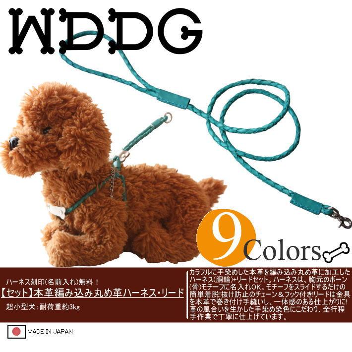 犬 ハーネス 胴輪 リード セット 革 本革 編み込み 丸め革 モチーフ 付 ハーネス リードセット 超小型犬 名入れ おしゃれ 可愛い/_1