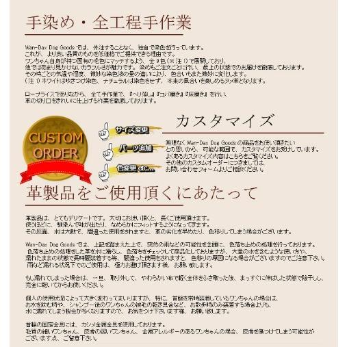 犬 ハーネス 胴輪 リード セット 革 本革 編み込み 丸め革 モチーフ 付 ハーネス リードセット 超小型犬 名入れ おしゃれ 可愛い/_20