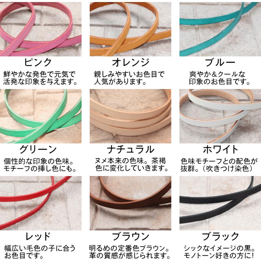 犬 革 2頭引き 首輪 リード セット 名前入り カラフル 本革 2頭