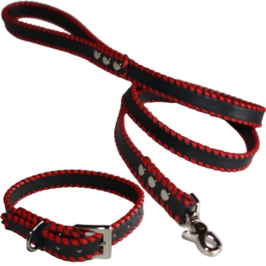 犬 革 首輪 リードセット 名前入り 本革 ステッチ リード 首輪セット