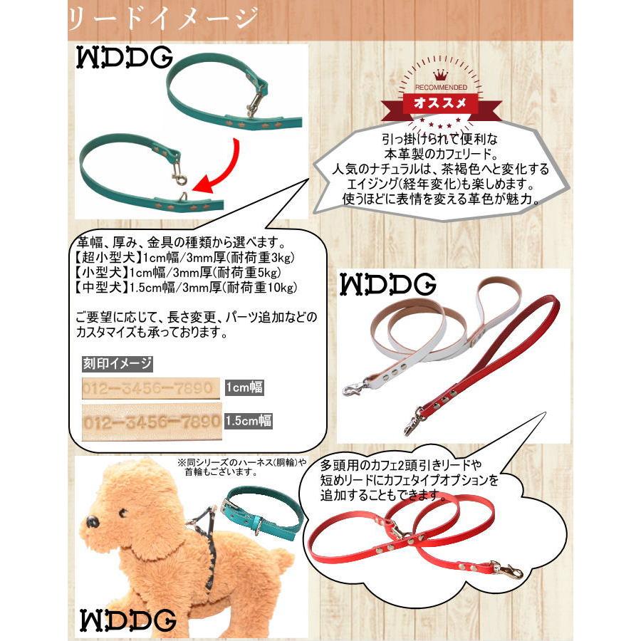 値下げ　新品　犬用本革リード首輪セット　レア　1点物 犬 革 首輪 リードセット 名前入り 本革 カラフル カフェ リード 首輪