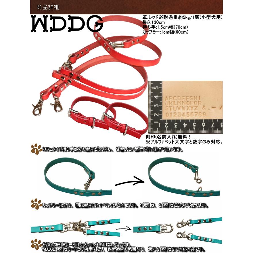 犬 革 2頭引き 首輪 名前入り カラフル 牛本革 首輪 ＆ カフェ 2頭引きリード セット 超小型犬 ~ 小型犬 多頭用リード カップラー  ツインリード 名入れ 迷子