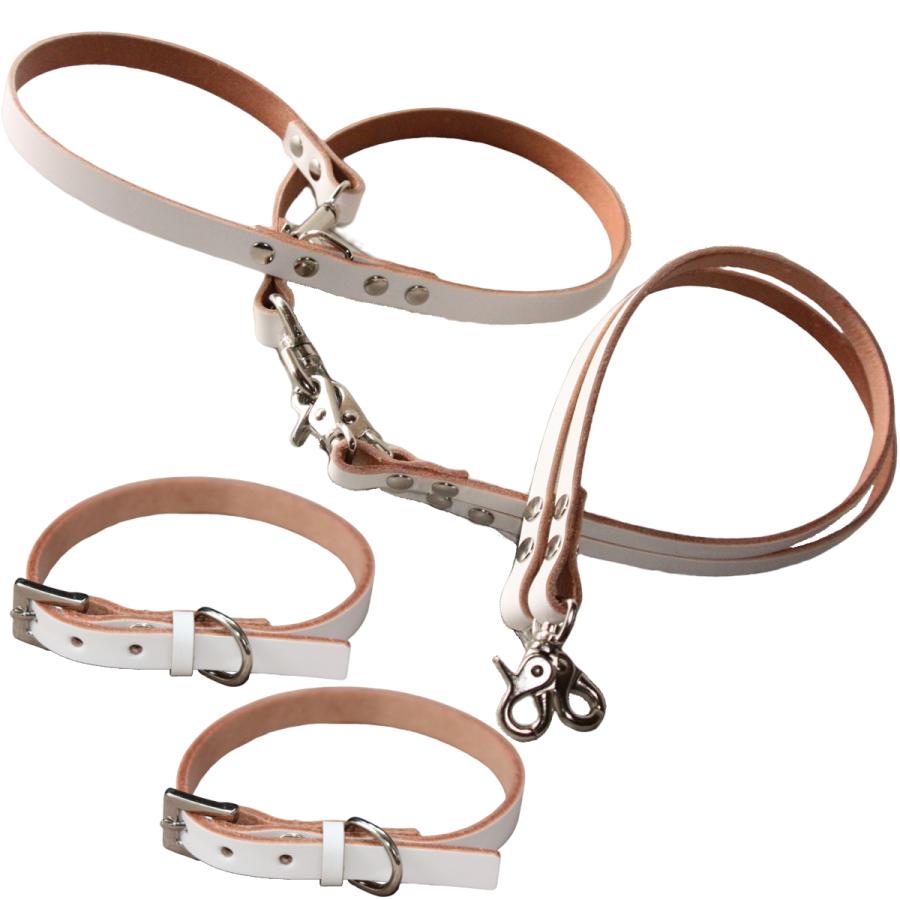 犬 革 2頭引き 首輪 リード セット 名前入り カラフル 本革 カフェ 2頭