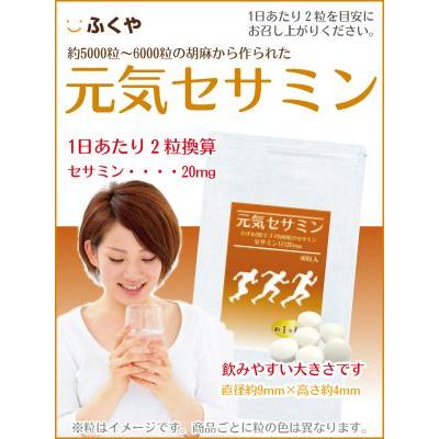 黒ゴマ セサミン 胡麻 約3ヶ月分 ごま 約5000粒分セサミンを濃縮 20mg 元気セサミン いつまでも若々しく お守りサプリ ギフト｜1fukuya｜02