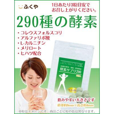 290種の酵素 1080粒 約1年分 ダイエット 酵素 サプリメント Lカルニチン ヒハツエキス ウコン コレウスフォルスコリ αリポ 酵素の画像