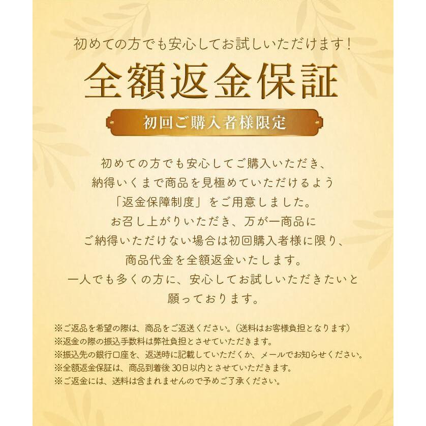 お試し限定価格 ダイエット 青汁 ベジタブルファースト 麹酵素 乳酸菌