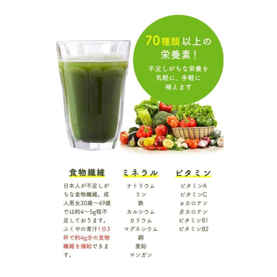 青汁 ベジタブルファースト 生酵素 国産 大麦若葉 桑の葉 緑茶 乳酸菌入り 青汁 80包 送料無料 腸活 ダイエット 食物繊維 スピルリナ 粉末 |  | 12