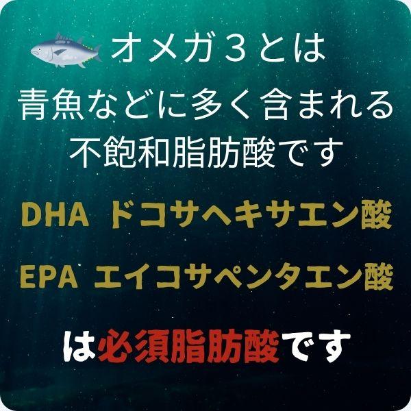 DHA EPA オメガ3 サプリメント 約3ヶ月分 60粒×3袋 dha epa αリノレン