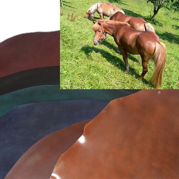 TL-BYRNE　クロコダイル　コードバン WILDSWANS ワイルドスワンズ 三つ折り財布 バーン BYRNE