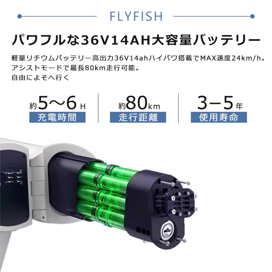 スマート電動 免許不要 20インチ 電動自転車 おしゃれ 公道走行可能 電動折りたたみ自転車 電動アシスト自転車 20インチ 折りたたみ自転車 電動ファットバイク｜1kselect-y3｜10