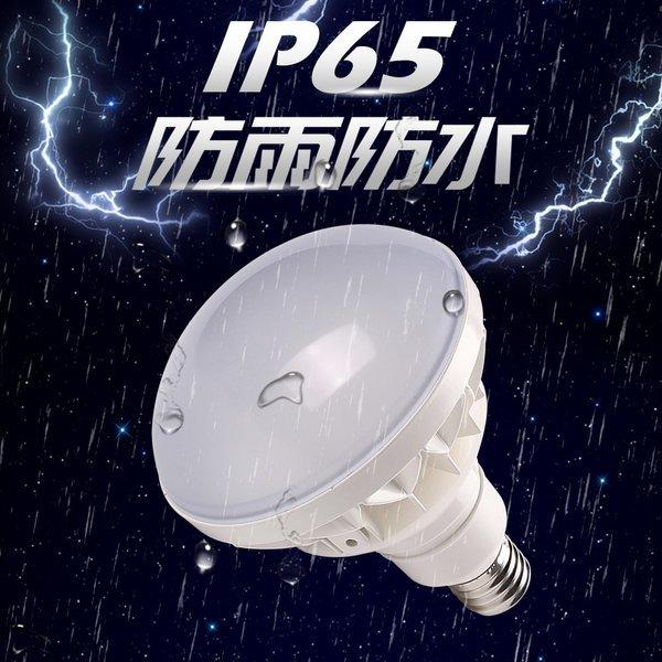 LEDバラストレス水銀灯 500W相当 PAR56 LEDビーム球 50W 8000LM 口金