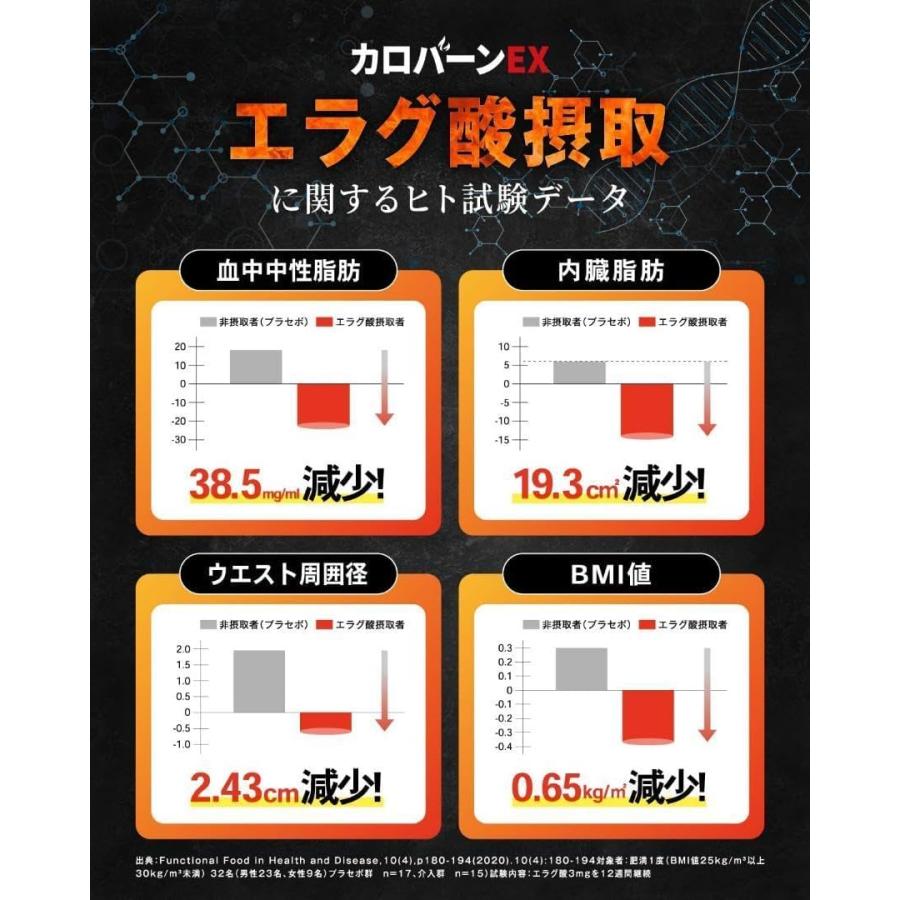 2個セット】カロバーンEX 30日分 : MAGOKOROショップ - 通販