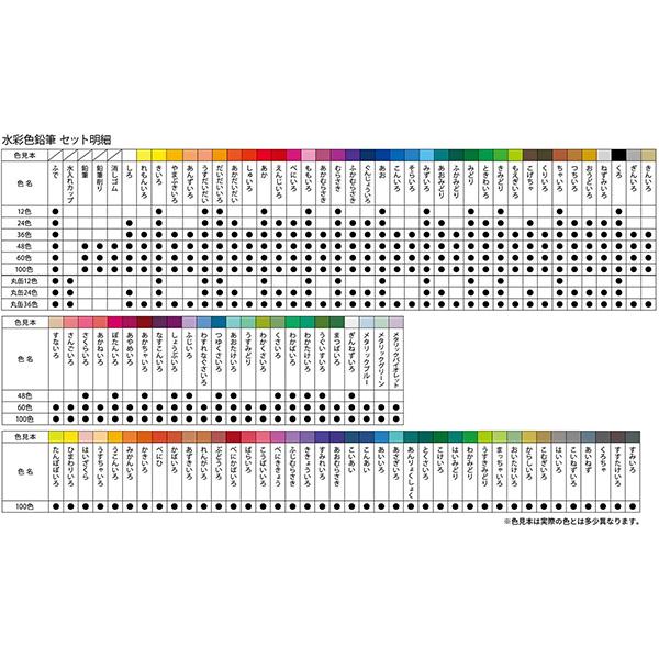 ファーバーカステル 水彩色鉛筆 100色 TFC-WCP/100C 塗り絵 大人