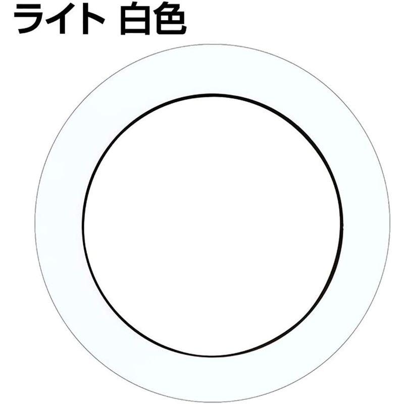 LINX LEDビューティライトPRO LBLP-LI001 AV周辺機器 2枚セットレボリューション ZM-N10 10インチ用 液晶保護フィルム 超撥水で水滴を弾くすべすべタッチの抗菌タイプ