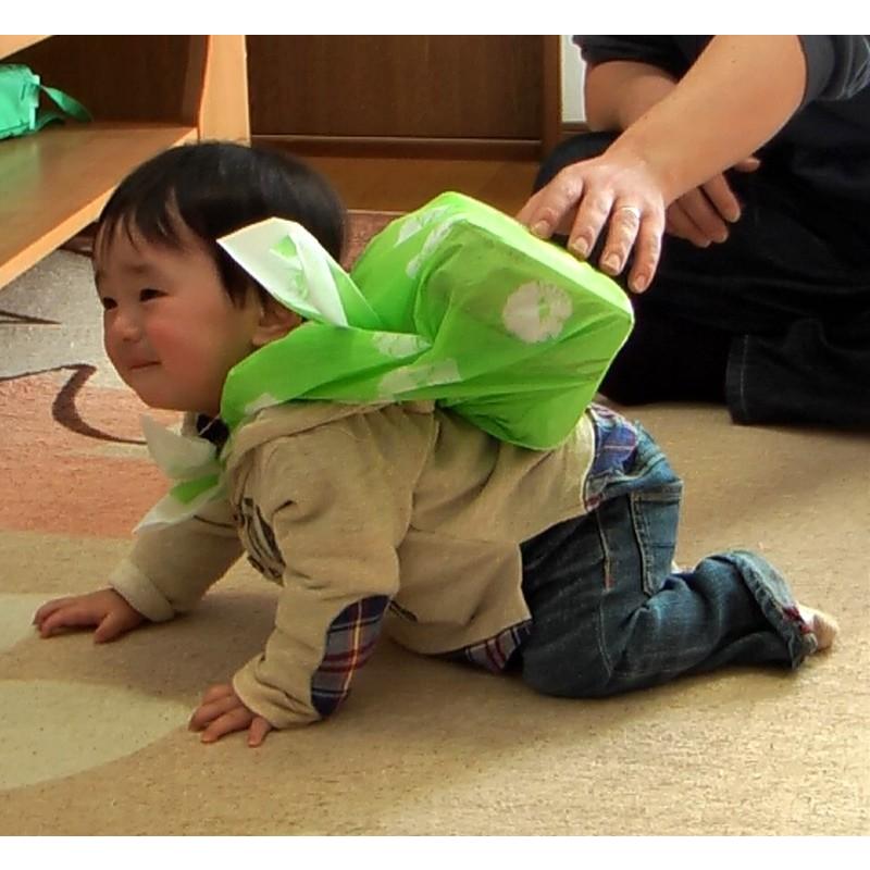当季大流行 一升餅 紅餅 900g と白餅 つきたて柔らか無添加 丸型餅 誕生餅 祝餅 風呂敷プレゼント 名入れ無料 Sooperchef Pk