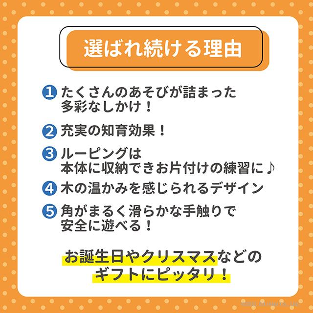 びっくり特典あり 名入れサービスあり アニマルビーズバス  木のオモチャ おもちゃ 知育玩具 あそび道具[A3112492]｜1st-kagu｜02