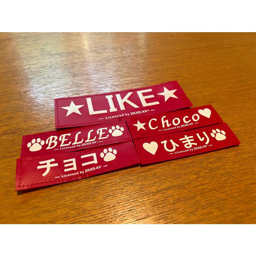 Julius-K9 IDCパワーハーネス オリジナルラベル ネーム