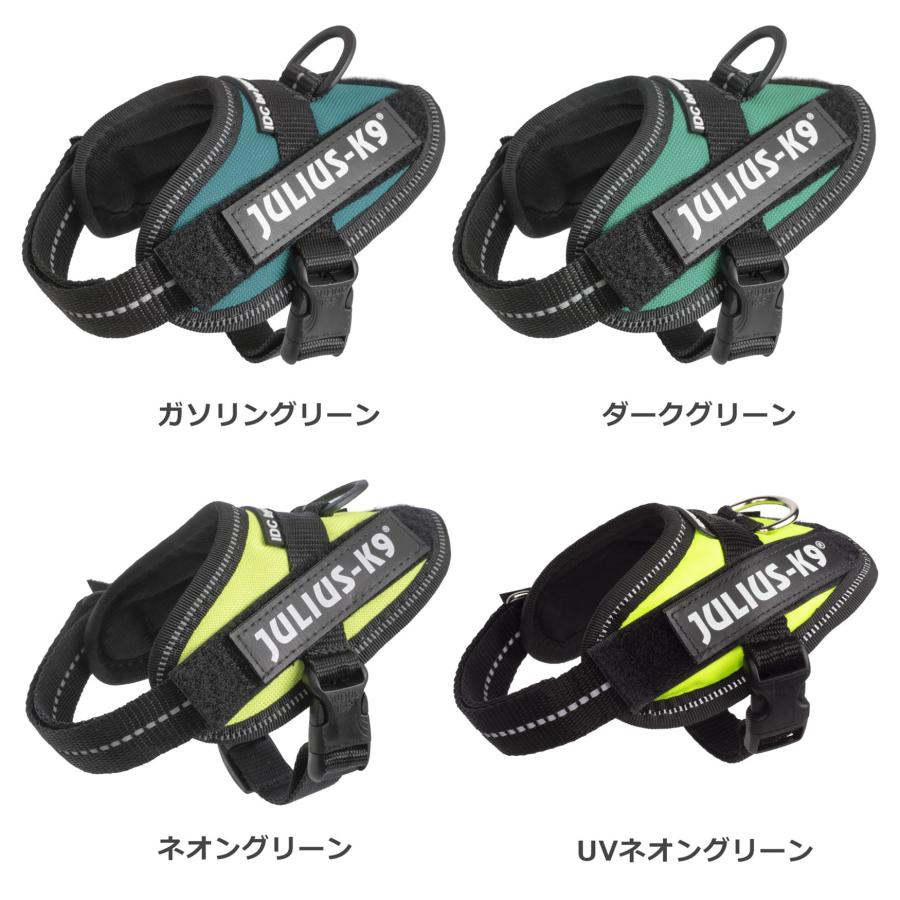 ラベルプレゼント抽選実施中】【Julius K9日本総代理店直営店】Julius