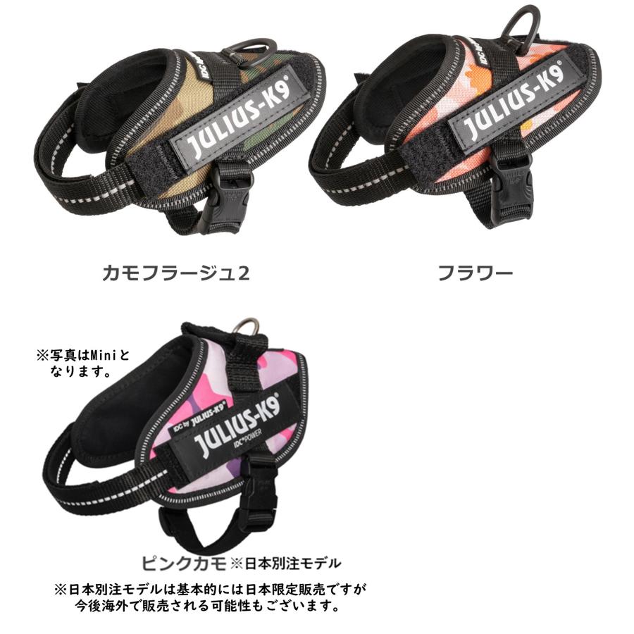 ラベルプレゼント抽選実施中】【Julius K9日本総代理店直営店】Julius