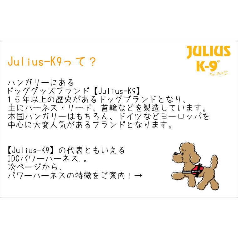 【ラベルプレゼント抽選実施中】Julius-K9 ユリウスケーナイン IDCパワーハーネス Miniサイズ 小・中型犬用 正規代理店｜1stdogcafe｜04