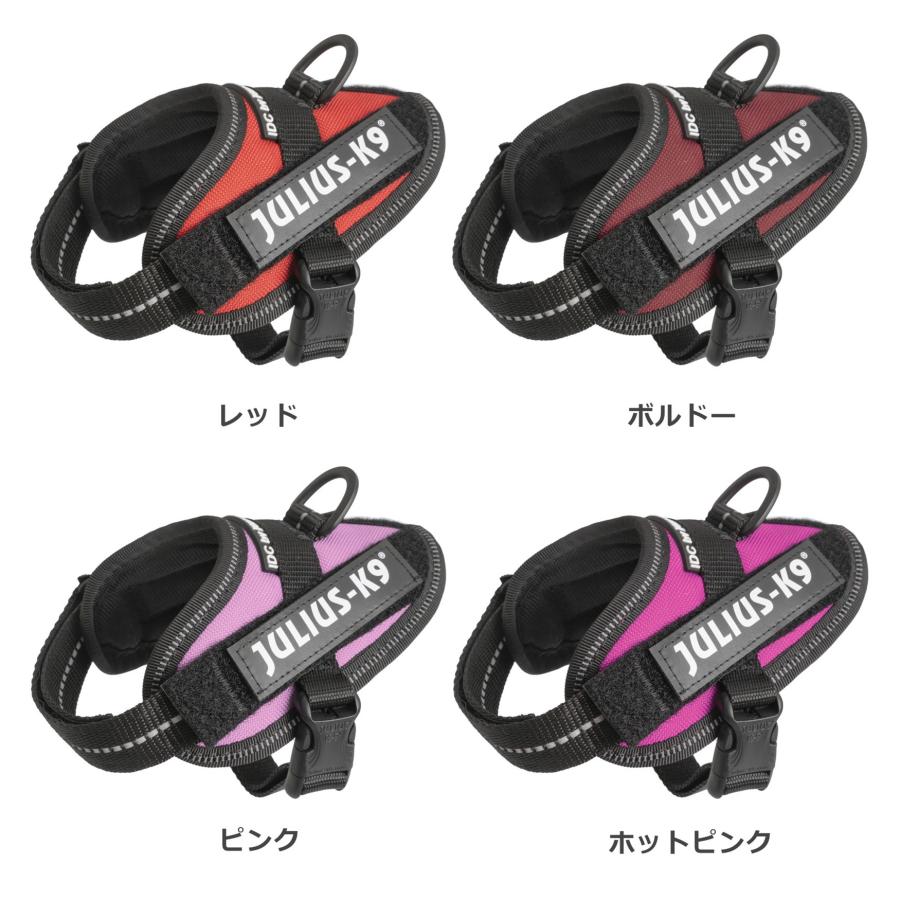 ラベルプレゼント抽選実施中】【Julius K9日本総代理店直営店】Julius