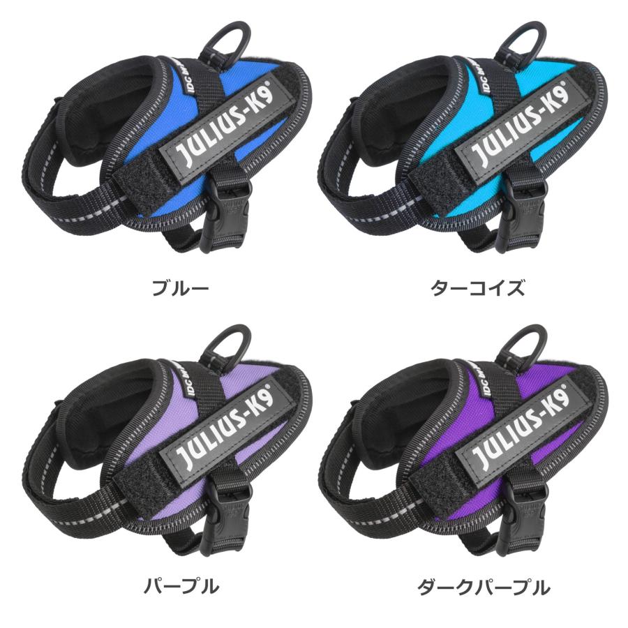 ラベルプレゼント抽選実施中】【Julius K9日本総代理店直営店】Julius