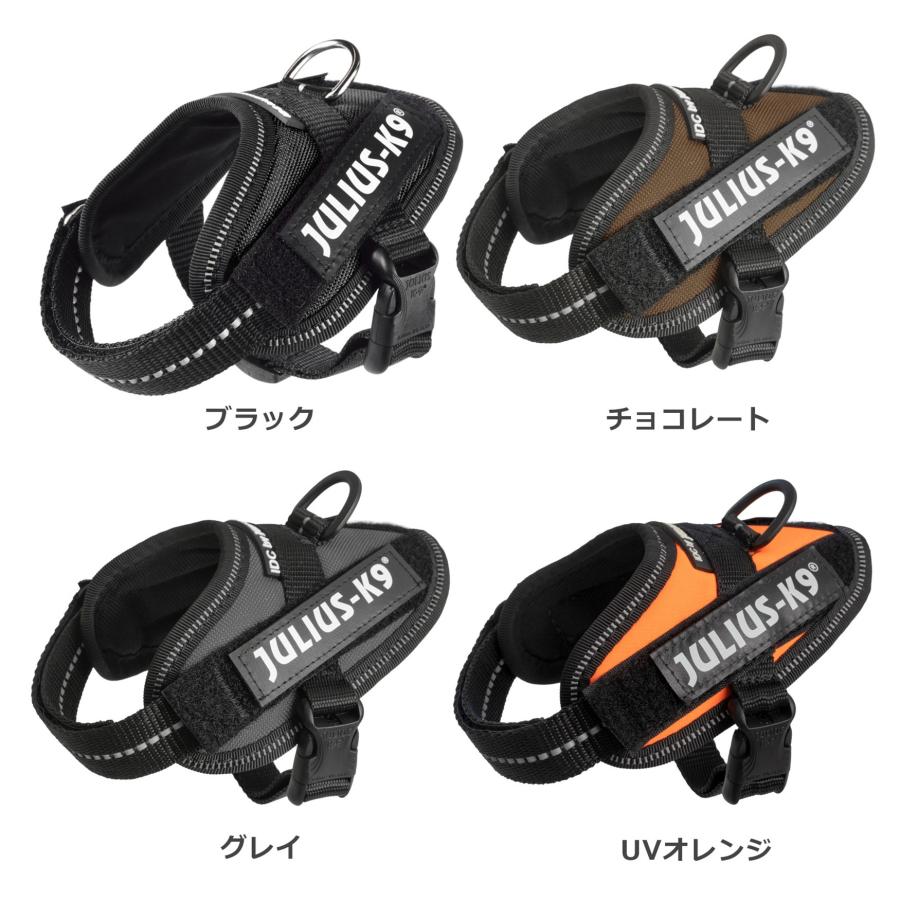 ⑧Parti du Ruban ケープタイプ　ネックアクセサリー　犬用品　写真 ラベルプレゼント抽選実施中】【Julius K9日本総代理店直営店】Julius