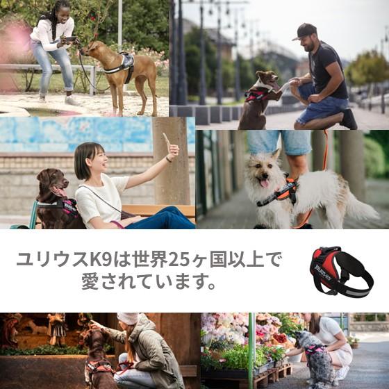 Julius K9日本総代理店直営店】【Julius-K9】スーパーグリップリード