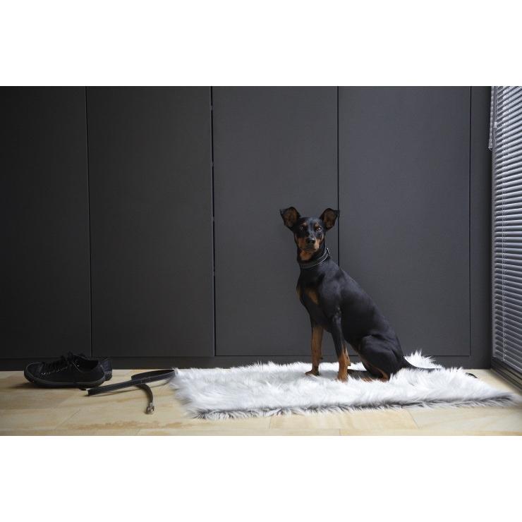 MiaCaraミアカラ ブランケット Mサイズ 【公式通販】