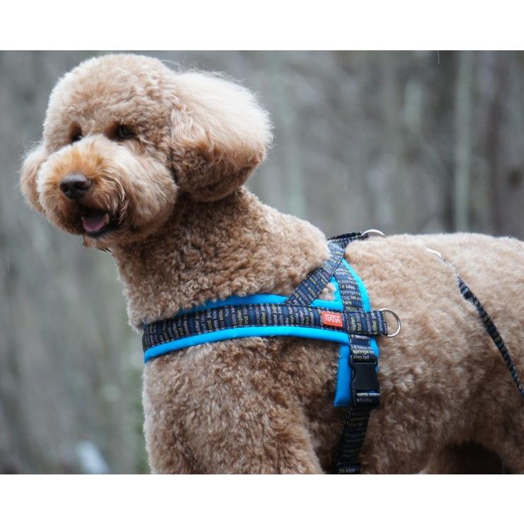 愛犬に優しくフィット！！ナイロンソフトT型ハーネス[Topcanis×Ratia