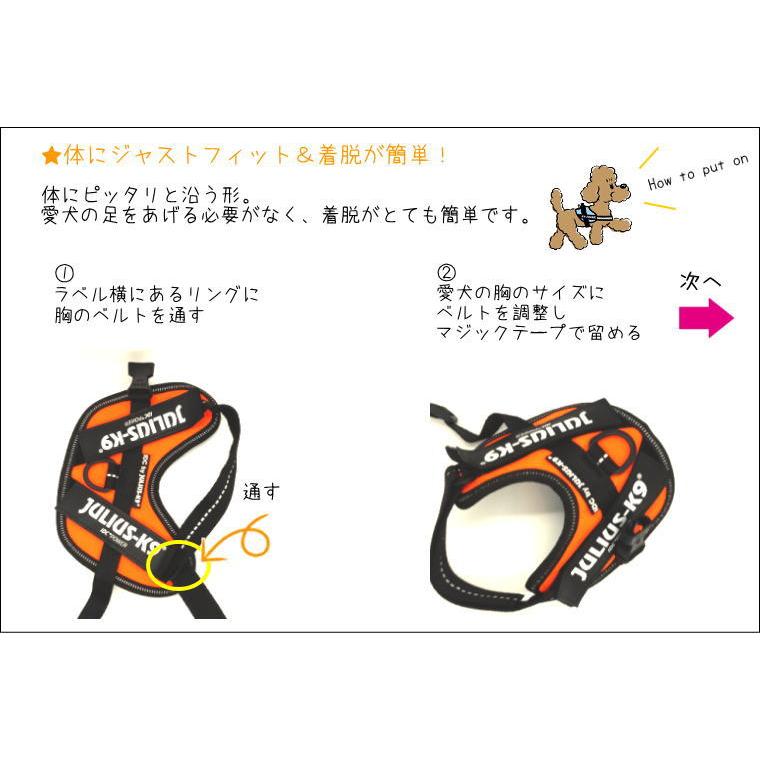 ラベルプレゼント抽選実施中】【Julius K9日本総代理店直営店