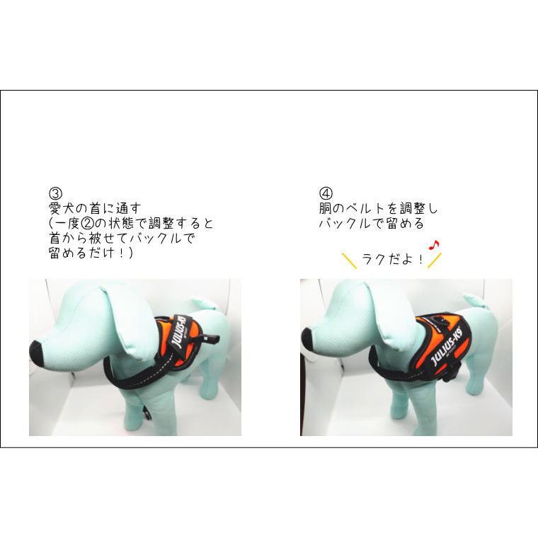ラベルプレゼント抽選実施中】【Julius K9日本総代理店直営店 ラベルプレゼント抽選実施中】【Julius K9日本総代理店直営店