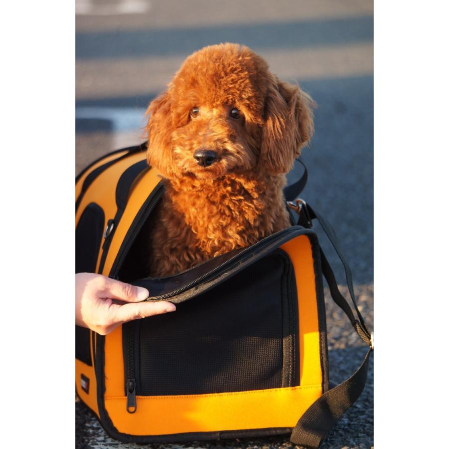 Wolters][ウォルターズ] スポーツキャリー Mサイズ 小型犬用