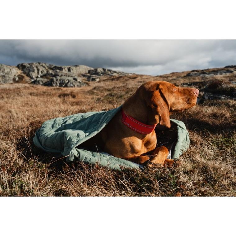 フィンランドのドッグブランド【Hurtta】【フルッタ】・スリーピング