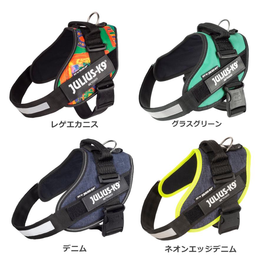 ラベルプレゼント抽選実施中】【Julius K9日本総代理店直営店