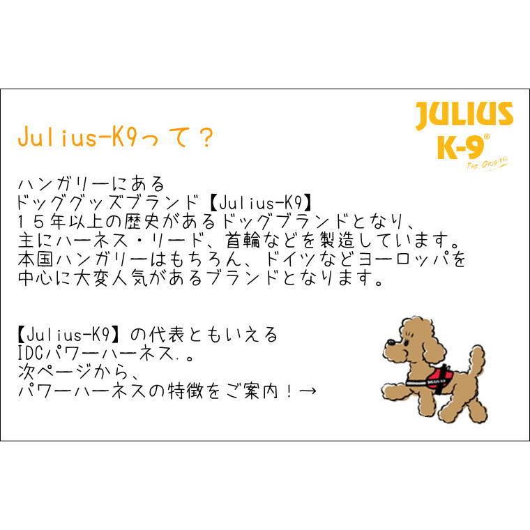 ラベルプレゼント抽選実施中】【Julius K9日本総代理店直営店 