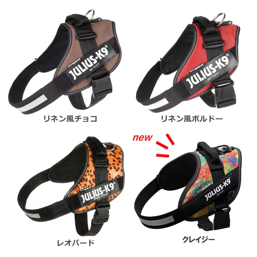 ラベルプレゼント抽選実施中】【Julius K9日本総代理店直営店】Julius