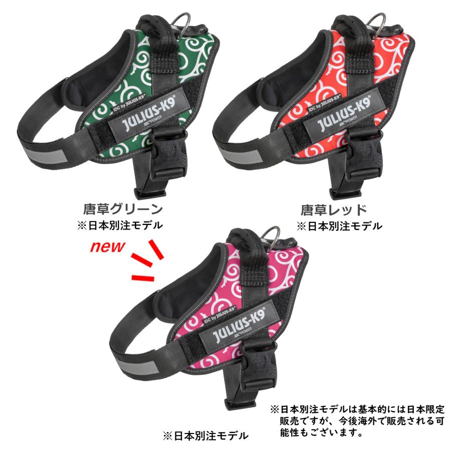 ラベルプレゼント抽選実施中】【Julius K9日本総代理店直営店】Julius