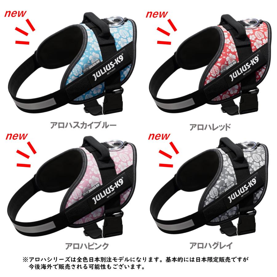 ラベルプレゼント抽選実施中】【Julius K9日本総代理店直営店】Julius