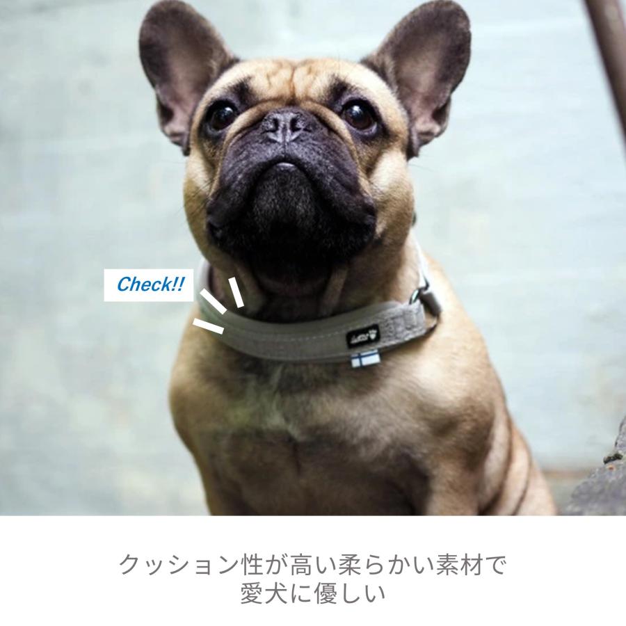 Hurtta][フルッタ][Casual Series] カジュアルクッション付ハーフ