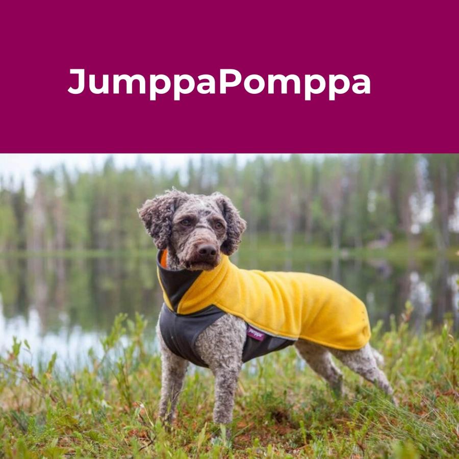 Pomppa][ポムッパ] ドッグフリースセーター [Jumppa Pomppa] 小・中型