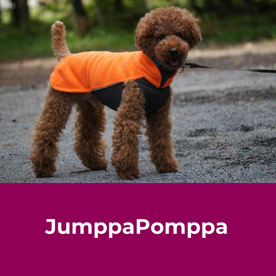 Pomppa][ポムッパ] ドッグフリースセーター [Jumppa Pomppa] 小・中型