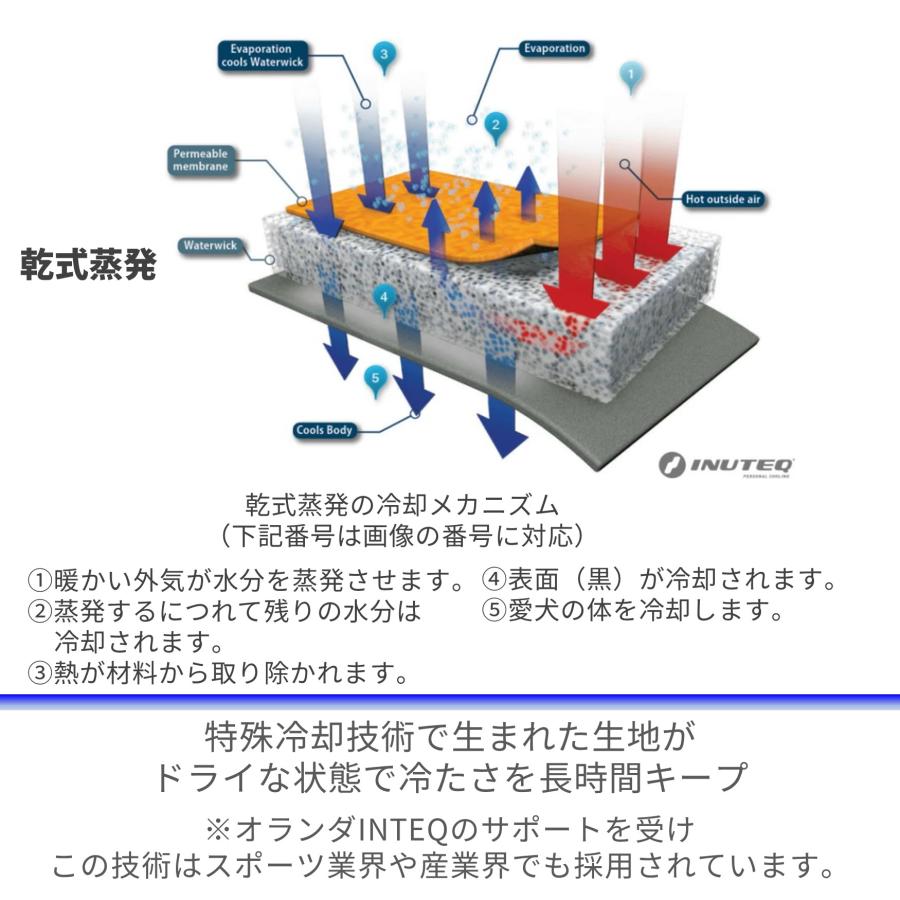 CANI COOL]カニクール クールマット Lサイズ【クーリングマット