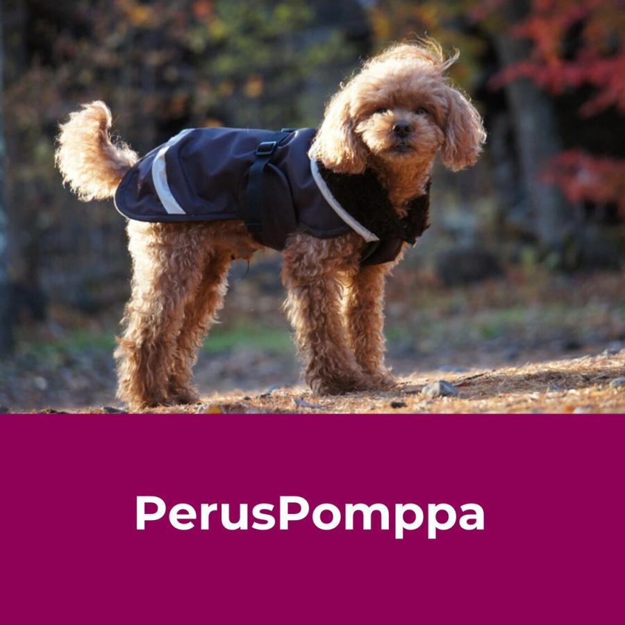 フィンランドのドッグブランド【Pomppa】【ポムッパ】・ドッグコート【Perus Pomppa】小・中型犬用｜1stdogcafe｜10