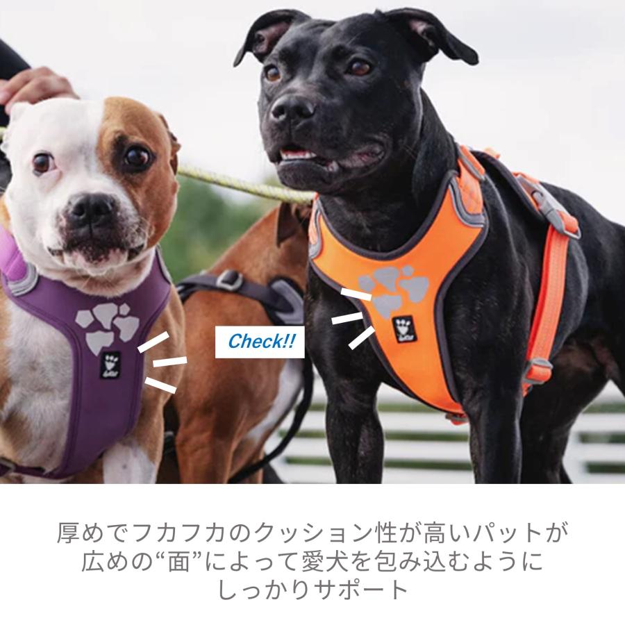 フィンランドのドッグブランド Hurtta フルッタ ウォーリアハーネス 60