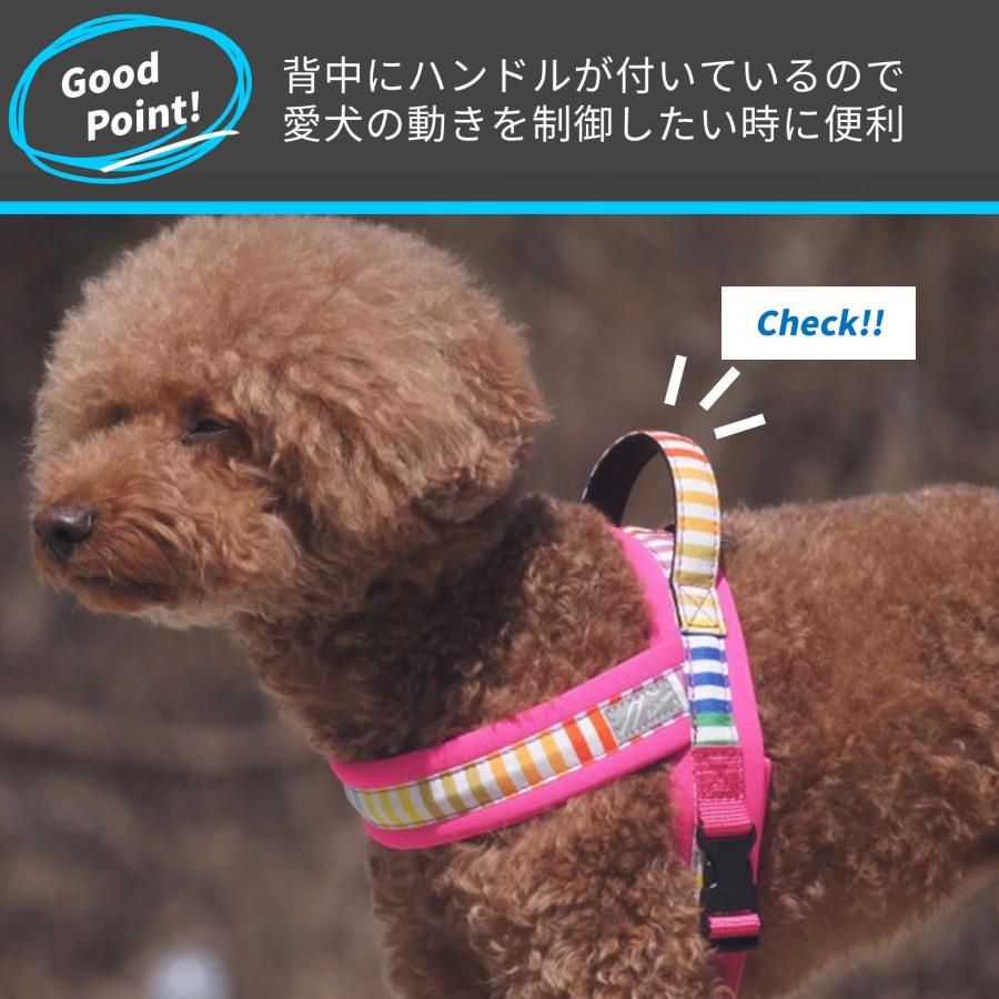 Hakusan 北欧デザインボーダーハーネス コンフォートジャストフィット